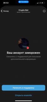 IMG_3941.png