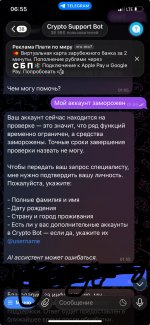 IMG_3942.jpeg