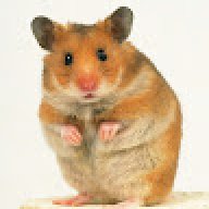 domob